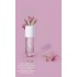 Fresh Floral & Fruity Perfume - Daily Wear Best Value Fragrance Long-lasting Fragrance 250ML
